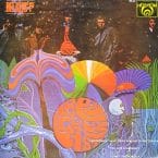 BEE GEES 1ST (USED VINYL) (CONDITION FAIR)