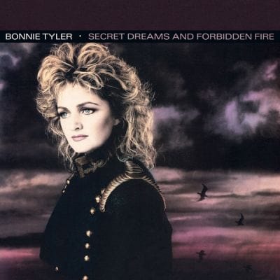 SECRET DREAMS AND FORBIDDEN FIRE (USED VINYL)