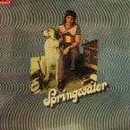 SPRINGWATER (USED VINYL)