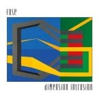 DIMENSION INTRUSION (2LP) (USED VINYL)