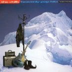 HEAVENLY POP HITS - THE BEST OF THE CHILLS (LIMITED EDITION) (USED 2CD)