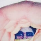 ODDITTIES SODOMIES VOL 2 (USED VINYL)