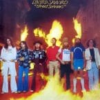 STREET SURVIVORS (USED VINYL)