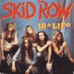 18 AND LIFE (USED VINYL)