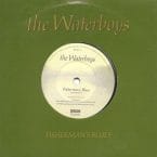 FISHERMAN'S BLUES (USED VINYL)
