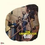 UNDERDOGS BLUES BAND (REISSUE) (USED VINYL)