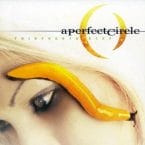 THIRTEENTH STEP (USED CD)