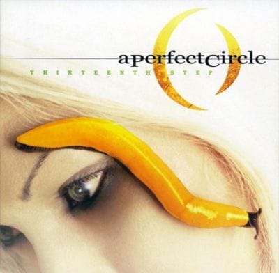 THIRTEENTH STEP (USED CD)