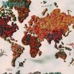 FIND ME BEFORE I DIE A LONELY DEATH.COM (CD)