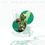 INFINITE (TOUR EDITION) (2LP) (VINYL)