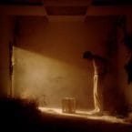 FLOWERS THAT GROW FROM CONCRETE PAVEMENTS (VINYL)