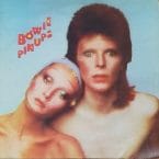 PIN UPS (USED VINYL)