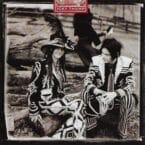 ICKY THUMP (USED CD)