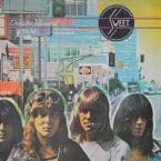 DESOLATION BOULEVARD (USED VINYL)